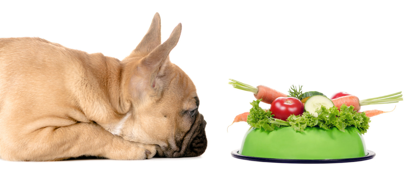 Gemüse-Sorten für Hunde