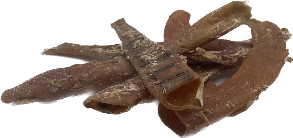 Mehrere rötlich-braune, länglich gebogene Röhren mit teils geöffnetem Querschnitt und unregelmäßig rauer Oberfläche, typisch für getrocknete Rinderaorta.