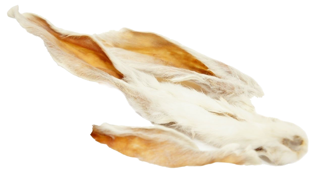 Zwei getrocknete Kaninchenohren mit weißem Fell und sichtbaren bräunlichen Innenseiten, länglich und dünn, leicht gewellt und nebeneinander auf hellem Hintergrund platziert.