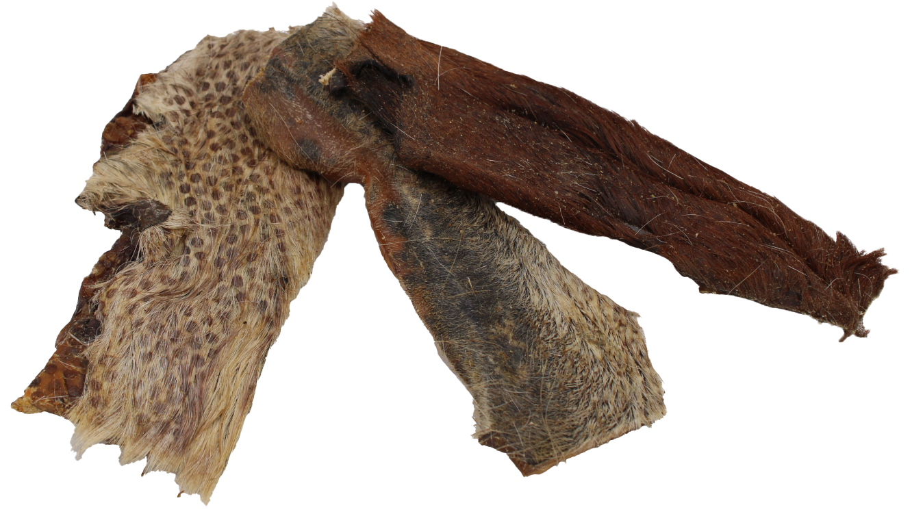  Drei längliche, unregelmäßig geformte Stücke getrockneter Pferdekopfhaut mit teils kurzem, teils längerem Fell in Braun- und Beigetönen sowie sichtbarer, rauer Struktur
