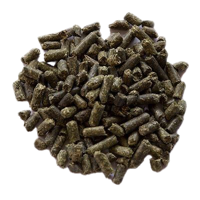 Eine lose aufgehäufte Portion dunkelgrüner Pellets mit faseriger Struktur und zylindrischer Form auf weißem Hintergrund.