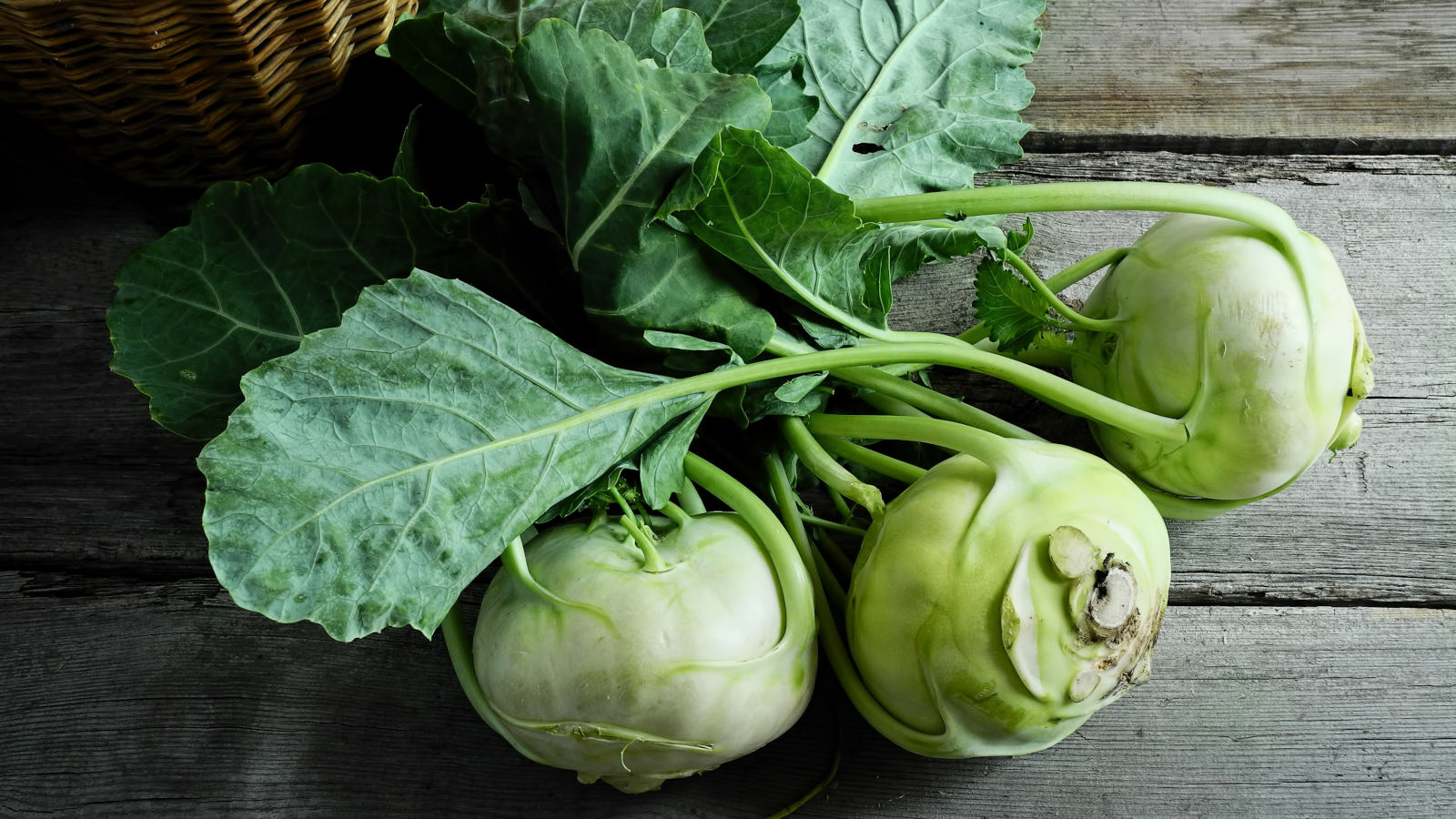 duerfen-hunde-kohlrabi-essen duerfen-hunde-kohlrabi-essen
