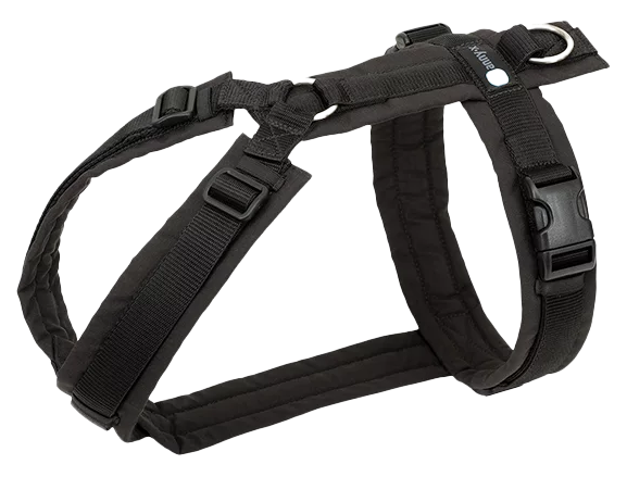 Schwarzes Hundegeschirr mit mehreren verstellbaren Riemen, Kunststoffschnallen und einem glänzenden Metallring. Die Oberfläche wirkt glatt und robust