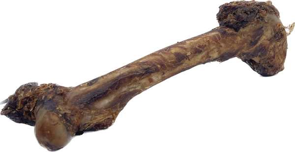 XL Hirschknochen für Hunde