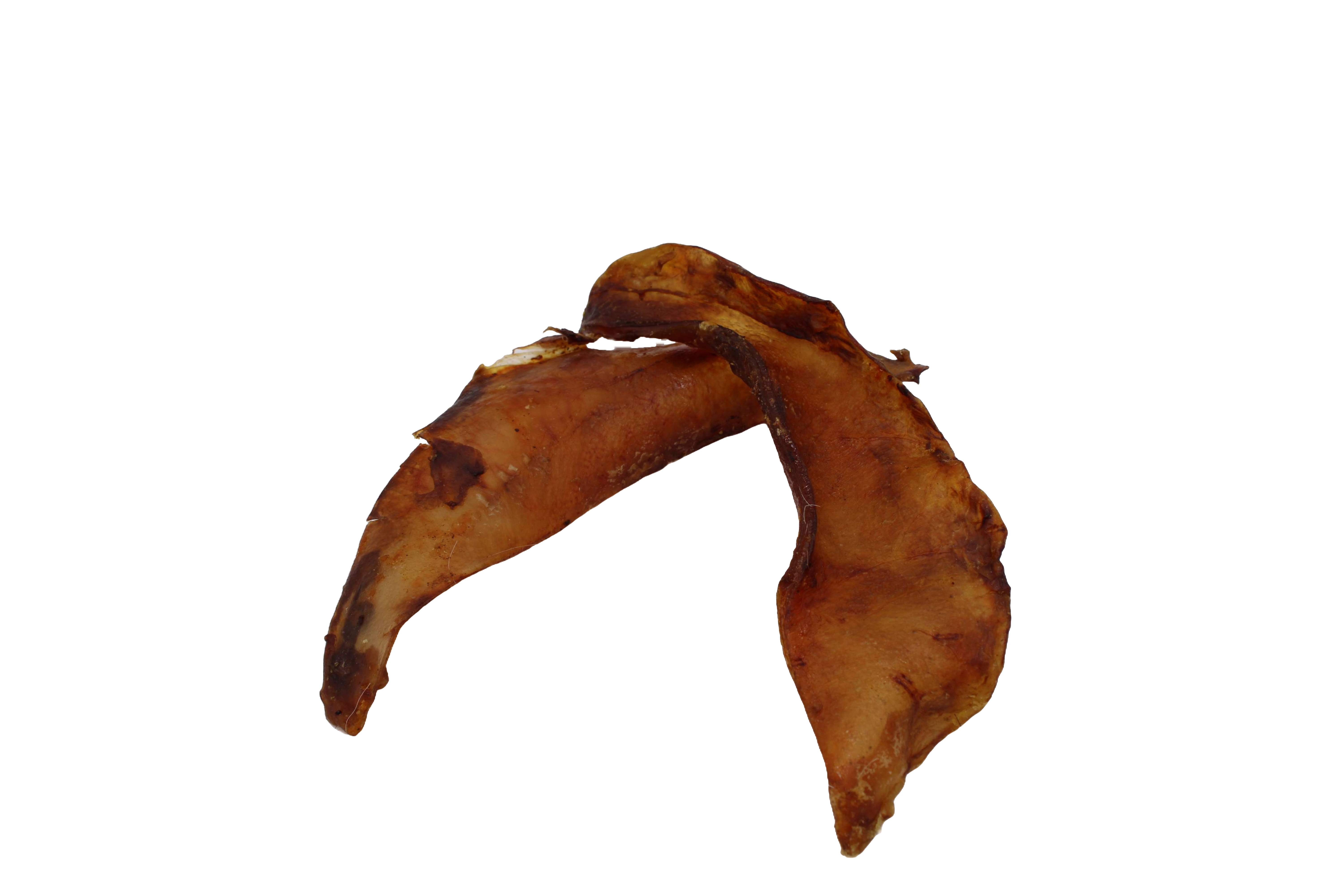 Hirschschulterblatt getrocknet