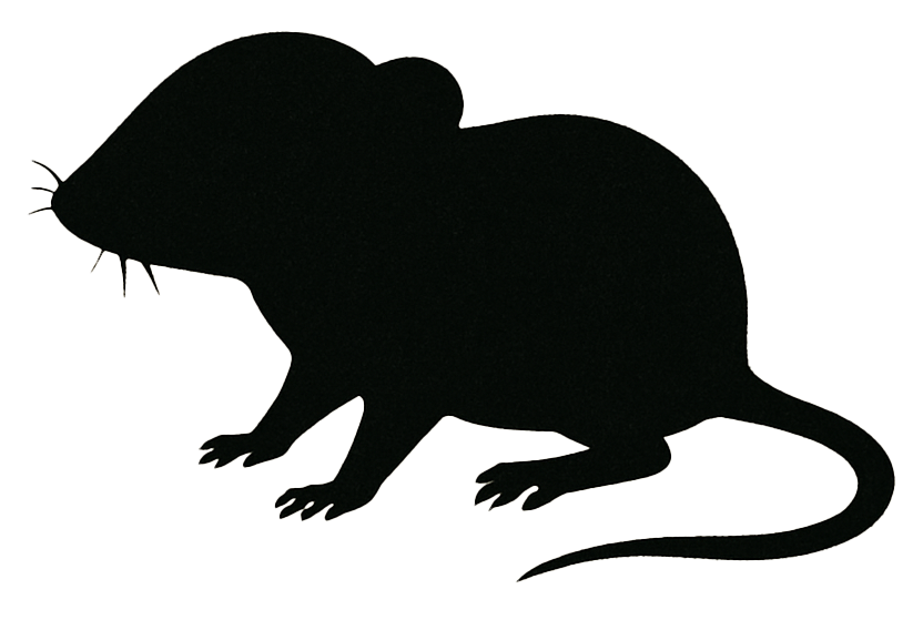 Eine schwarze Silhouette einer Maus mit rundem Körper, kurzen Beinen, feinen Schnurrhaaren und langem, leicht gebogenem Schwanz. Die Form hebt sich klar vom hellen Hintergrund ab.