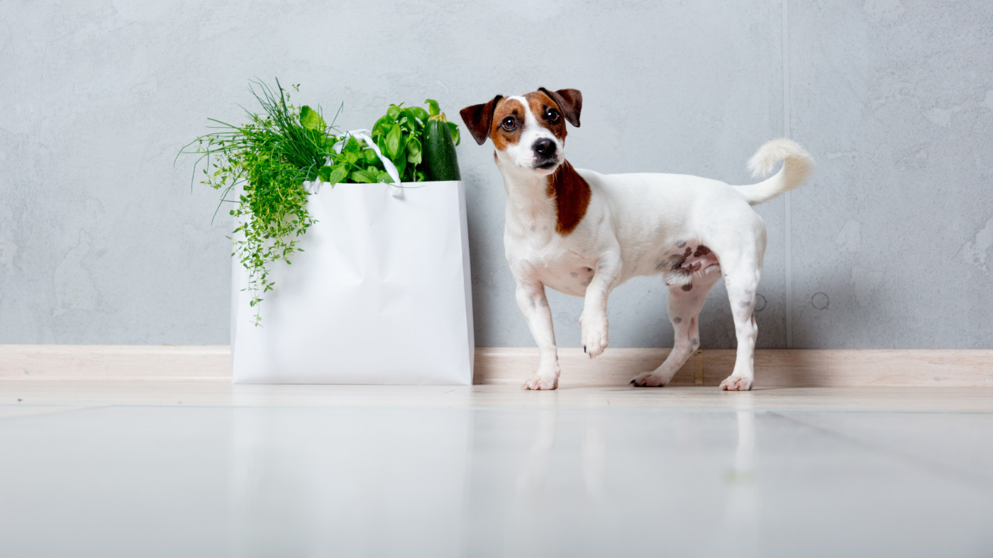 Kraeuter-fuer-Hunde kraeuter-fuer-hunde