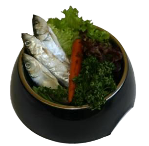 Ein schwarzer Napf mit drei silbrig-grauen Heringen, die auf grünem und rotem Salat sowie einer ganzen Karotte liegen.