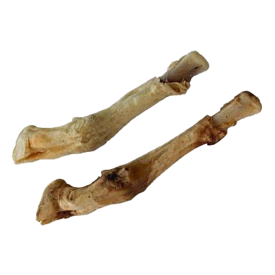 Zwei gebogene, helle Knochen mit leicht bräunlichen Stellen und unregelmäßiger Oberfläche, getrocknete Lammpfoten auf weißem Hintergrund.