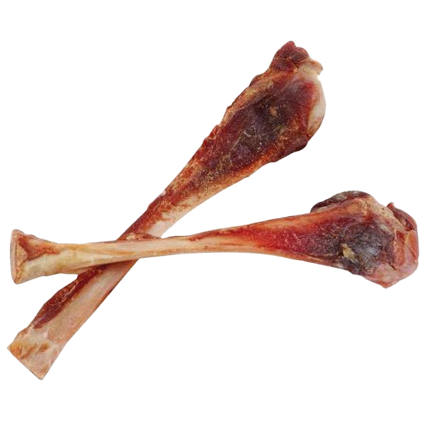 Zwei getrocknete Schinkenknochen liegen überkreuzt. Sie sind rötlich-braun gefärbt mit weißen Stellen, an denen das Knocheninnere sichtbar ist.