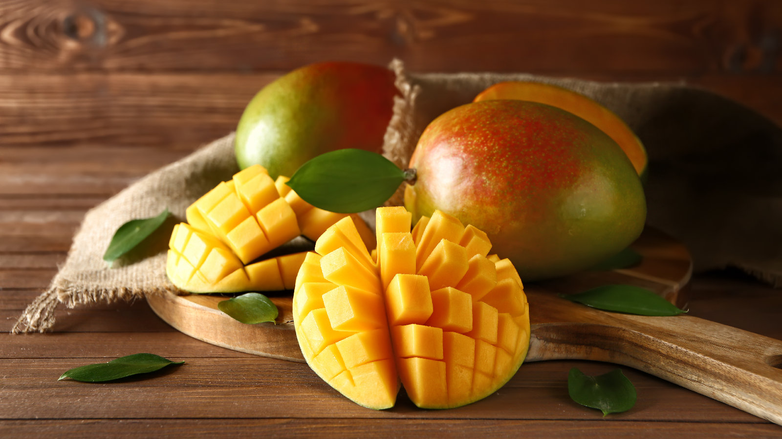 duerfen-hunde-mango-essen