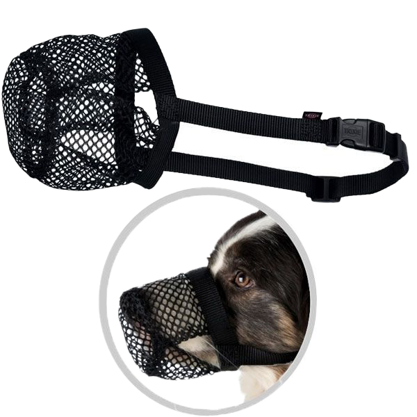 Schwarzes, feinmaschiges Hundeschutznetz mit verstellbaren Riemen und Schnallen, im Einsatz am Hund gezeigt