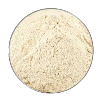 Ein fein gemahlenes, hellbeiges Pulver mit homogener, trockener Struktur, von oben fotografiert in einer runden Nahaufnahme auf weißem Hintergrund.