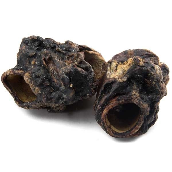Rinderkehlkopf getrocknet 1 kg Zwei grob strukturierte, dunkelbraune bis schwarze Rinderkehlköpfe mit wulstiger Oberfläche und großen, runden Öffnungen, die hohl und röhrenartig wirken.