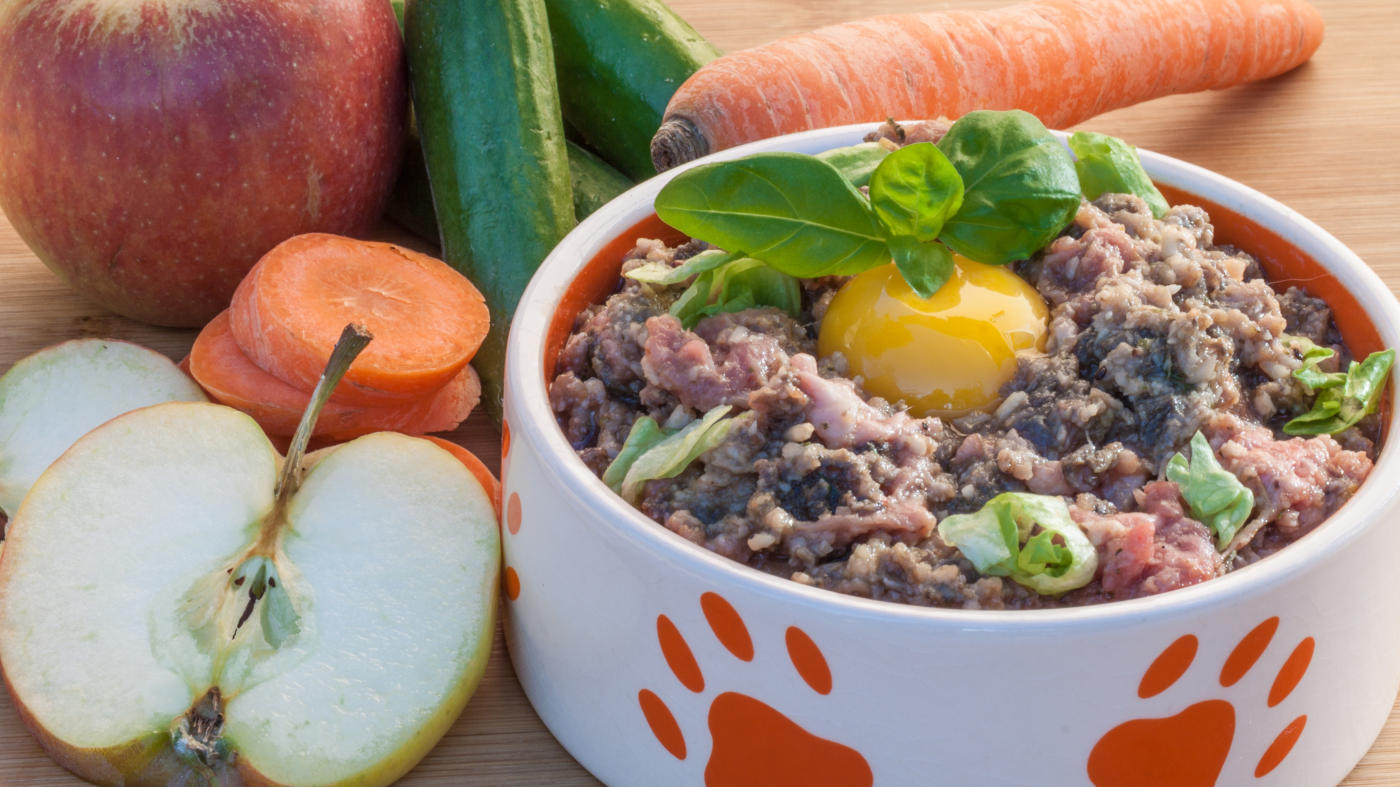 barf-rezepte-hund