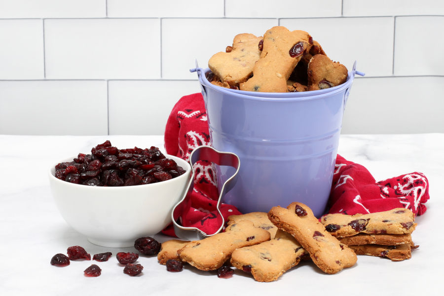 Hundekekse mit einer Schüssel getrockneten Cranberries daneben