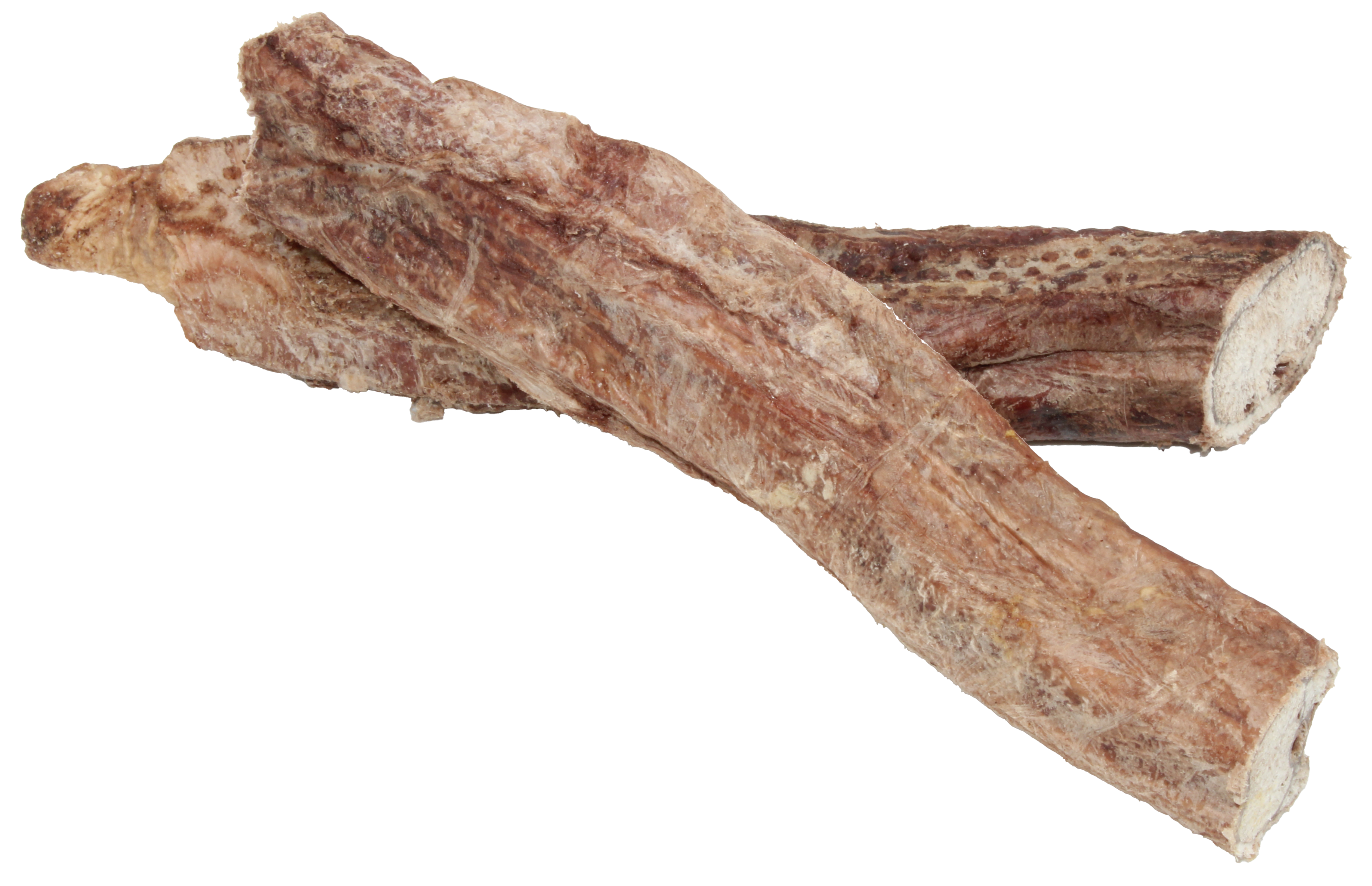 Zwei getrocknete Ochsenziemer mit zylindrischer Form, rauer, faseriger Oberfläche und unregelmäßigen Enden; Farbverlauf in verschiedenen Brauntönen.