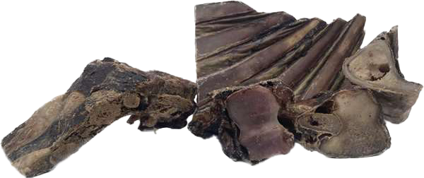 Mehrere getrocknete Hirschknochen in unterschiedlichen Formen mit dunkler, teils rauer Oberfläche, markanten Kanten und natürlichen Rillen.