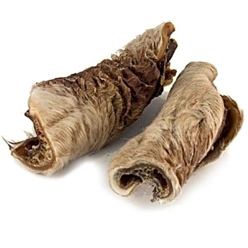 Rinderkopfhaut mit Fell 1000 g Zwei Stücke getrocknete Rinderkopfhaut mit hellem, zotteligem Fell, jeweils eingerollt und rustikal strukturiert, auf weißem Hintergrund nebeneinander platziert.