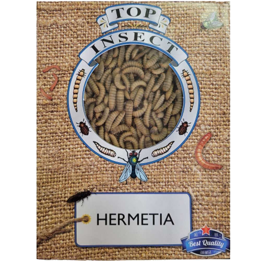 Eine rechteckige Schachtel mit Sichtfenster, durch das getrocknete, hellbraune Insektenlarven sichtbar sind. Die Verpackung hat ein Jute-Muster mit Insektenillustrationen.