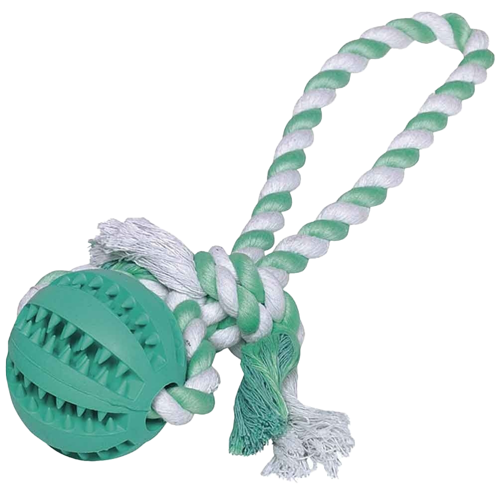 Grünes Gummiballspielzeug mit Rillen und zahnartigen Strukturen, befestigt an weiß-grün gedrehter, beidseitig geknoteter Kordel mit ausgefransten Enden.