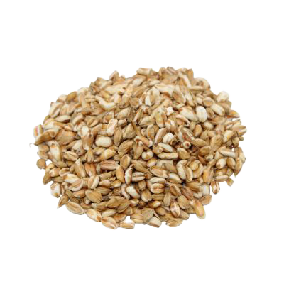 Locker aufgehäufte, hellbraun-weiße Gerstenflocken mit unregelmäßiger, leicht gebrochener Struktur vor weißem Hintergrund.