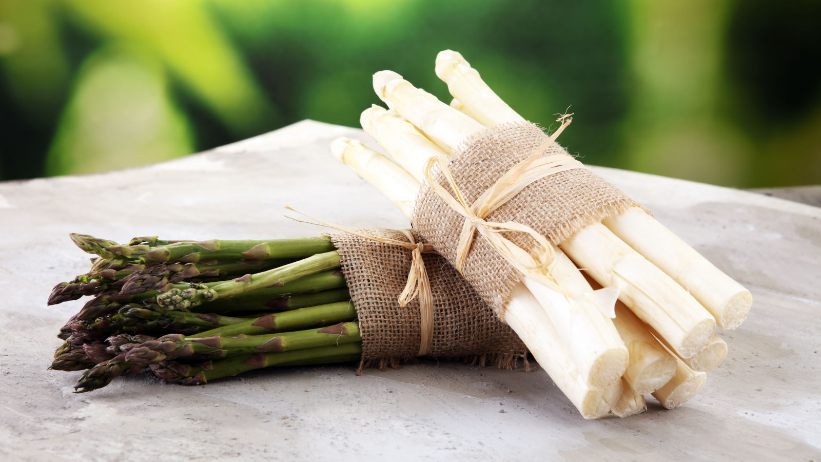 duerfen-hunde-spargel-essen