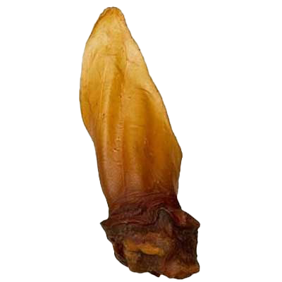 Ein länglicher, naturbelassener Kausnack in gelblich-brauner Farbe mit fester, leicht glänzender Oberfläche und unregelmäßiger, nach unten breiter werdender Form.