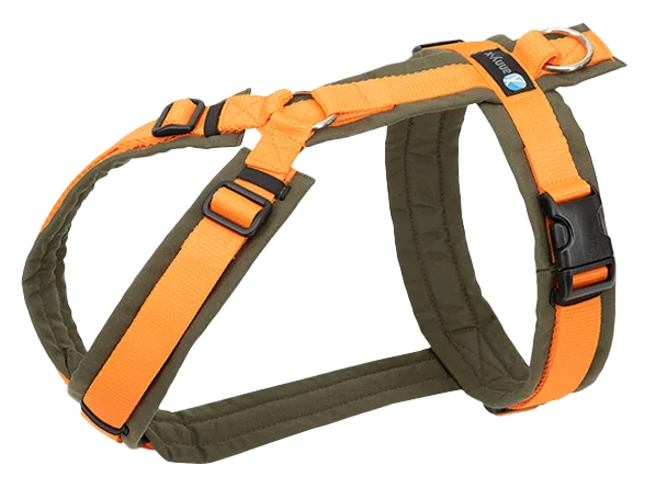 Hundegeschirr mit orangefarbenen und olivgrünen Riemen. Verstellbare Schnallen, schwarzer Kunststoffverschluss und kleines blaues Etikett an einem der Gurte.