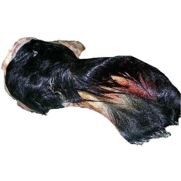 Ein gefrorenes Rinderohr mit schwarzem Fell und sichtbarer Ohrmuschel. Die Oberfläche zeigt grobe Fellstruktur mit roten und hellen Stellen.