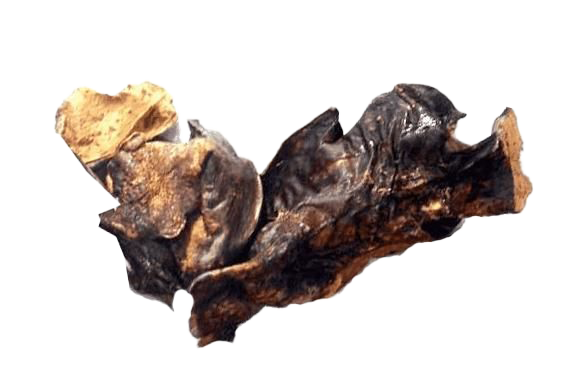 Mehrere unregelmäßig geformte Stücke getrockneter Lammlunge in hellbrauner bis fast schwarzer Farbe, mit teils glatter, teils poröser Oberfläche und natürlichen Bruchkanten.