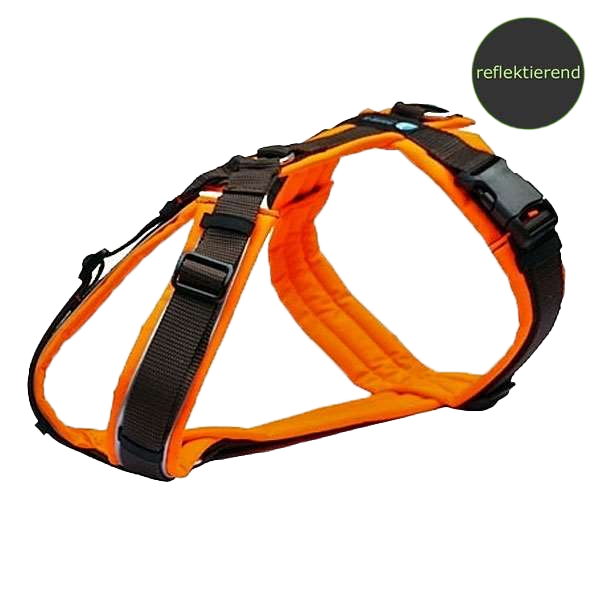 Orangenes Hundegeschirr mit gepolsterten, verstellbaren Riemen, schwarzen Schnallen und Metall-D-Ring oben. Kleiner blauer Aufnäher an der Oberseite.