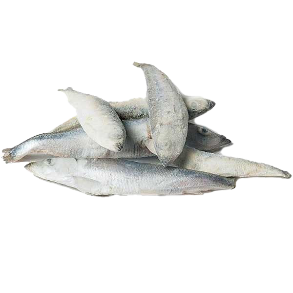 Mehrere ganze, gefrorene Stinte mit silbrig-weißlicher Oberfläche liegen locker übereinander auf hellem Untergrund.