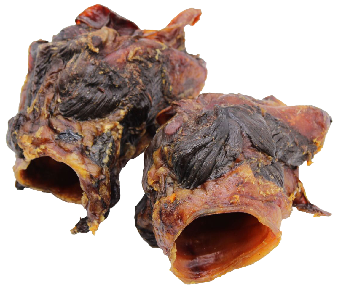 Getrockneter Pferdekehlkopf in dunkelbrauner bis schwarzbrauner Farbe, in kurze röhrenförmige Stücke geschnitten, mit faseriger, ledriger Oberfläche und sichtbarer Hohlstruktur.
