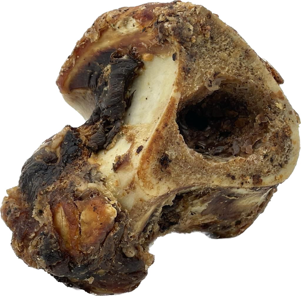 Ein grob strukturierter, unregelmäßig geformter Rindergelenkknochen mit dunklen, getrockneten Fleischresten und einer sichtbaren Knochenöffnung im oberen Bereich.