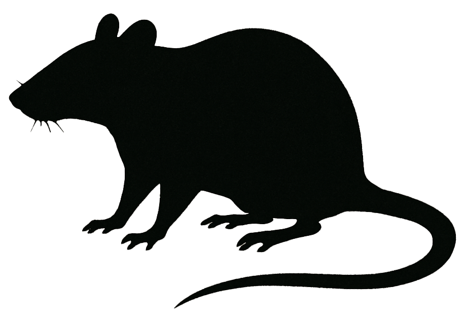 Eine schwarze Silhouette einer Ratte im Profil auf hellem Hintergrund. Das Tier hat einen längeren Körper, spitze Schnauze, kräftige Beine und einen langen, leicht geschwungenen Schwanz.