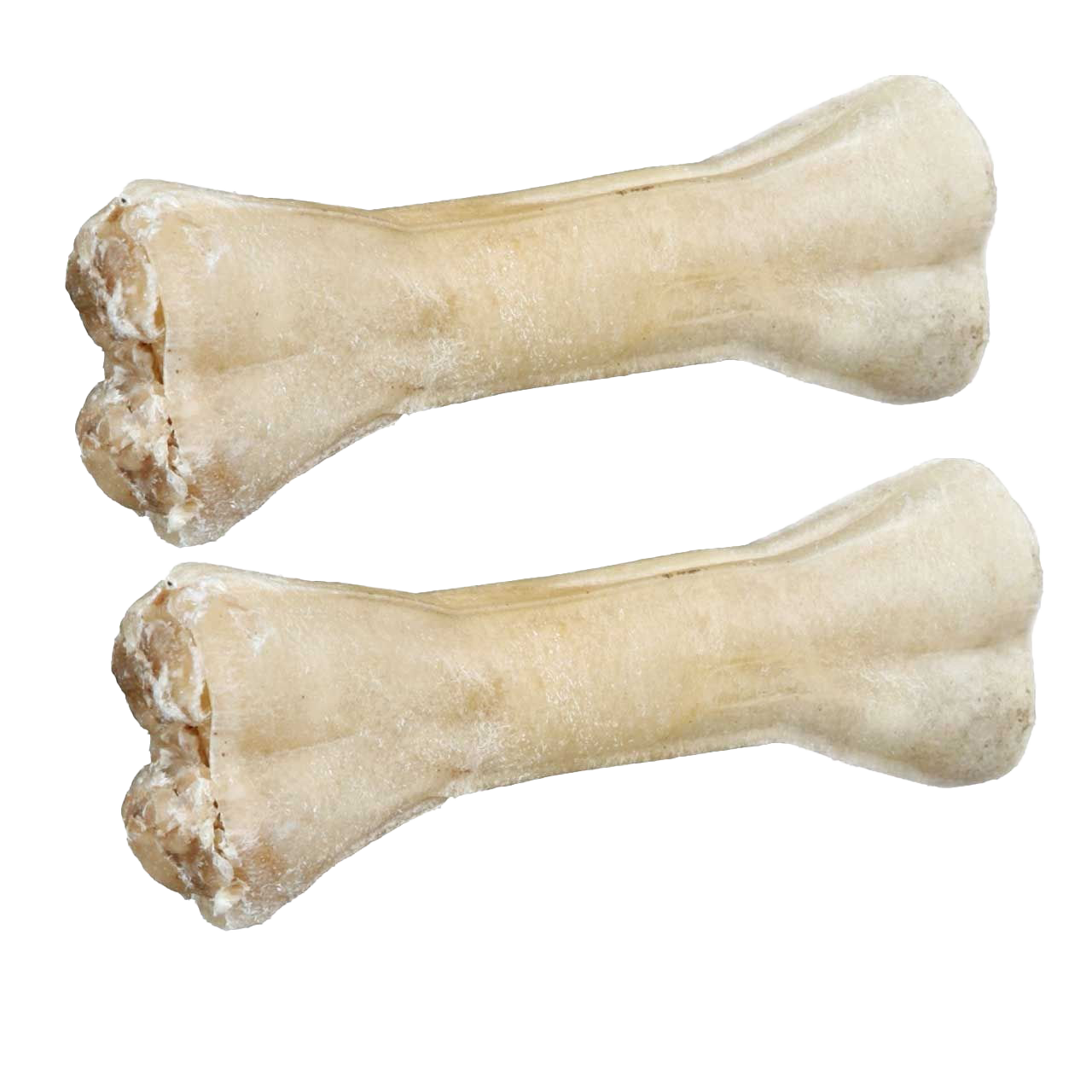 Zwei Beigefarbener Kauknochen mit glatter, leicht glänzender Oberfläche und symmetrischer Form; an beiden Enden verdickt, mittig schmaler.