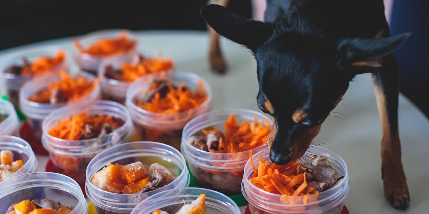 barf-komplett-paket-hund