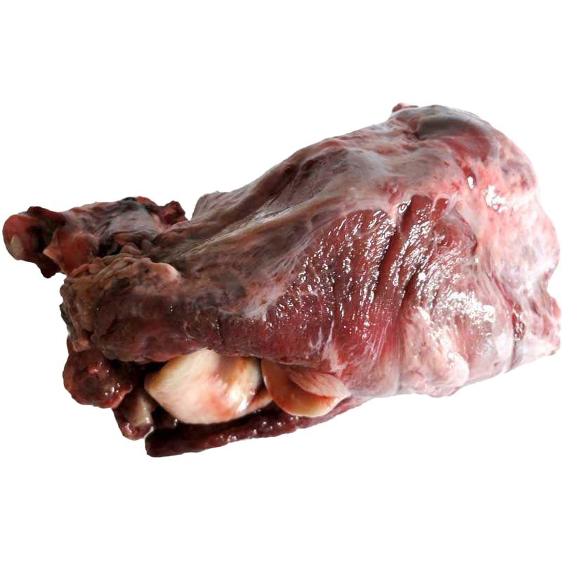 Ein fleischiger Rinderkehlkopf mit Knochen. Die Oberfläche ist glänzend, dunkelrot bis rosa, mit sichtbaren Muskel- und Knorpelstrukturen sowie teilweise offenliegenden Gelenken.