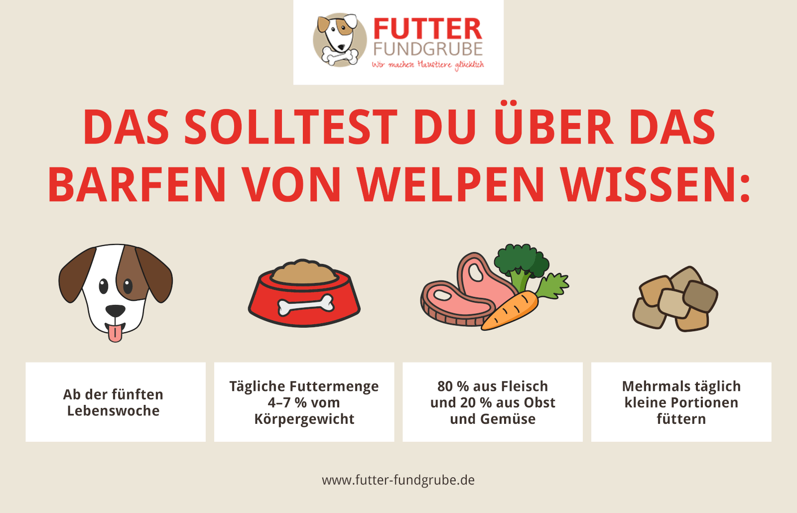 Tipps zum Barfen von Welpen