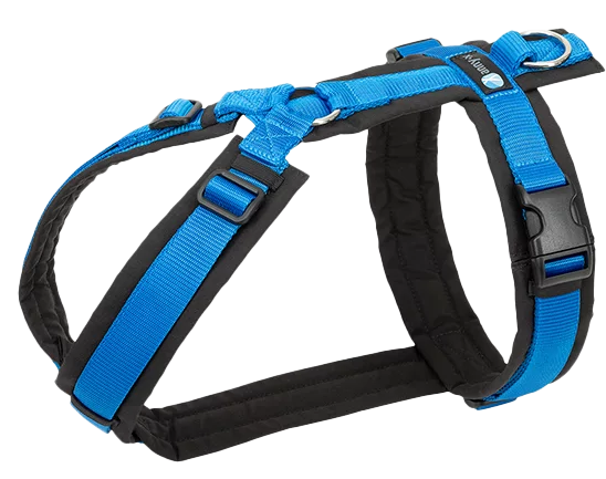 Blaues Hundegeschirr mit mehreren verstellbaren Riemen, Kunststoffschnallen und einem glänzenden Metallring. Die Oberfläche wirkt glatt und robust