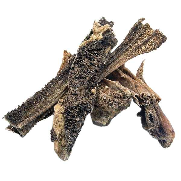  Mehrere unregelmäßig geformte Stücke getrockneter Lammpansen mit rauer, poröser Oberfläche in verschiedenen Braun- und Beigetönen auf weißem Hintergrund.