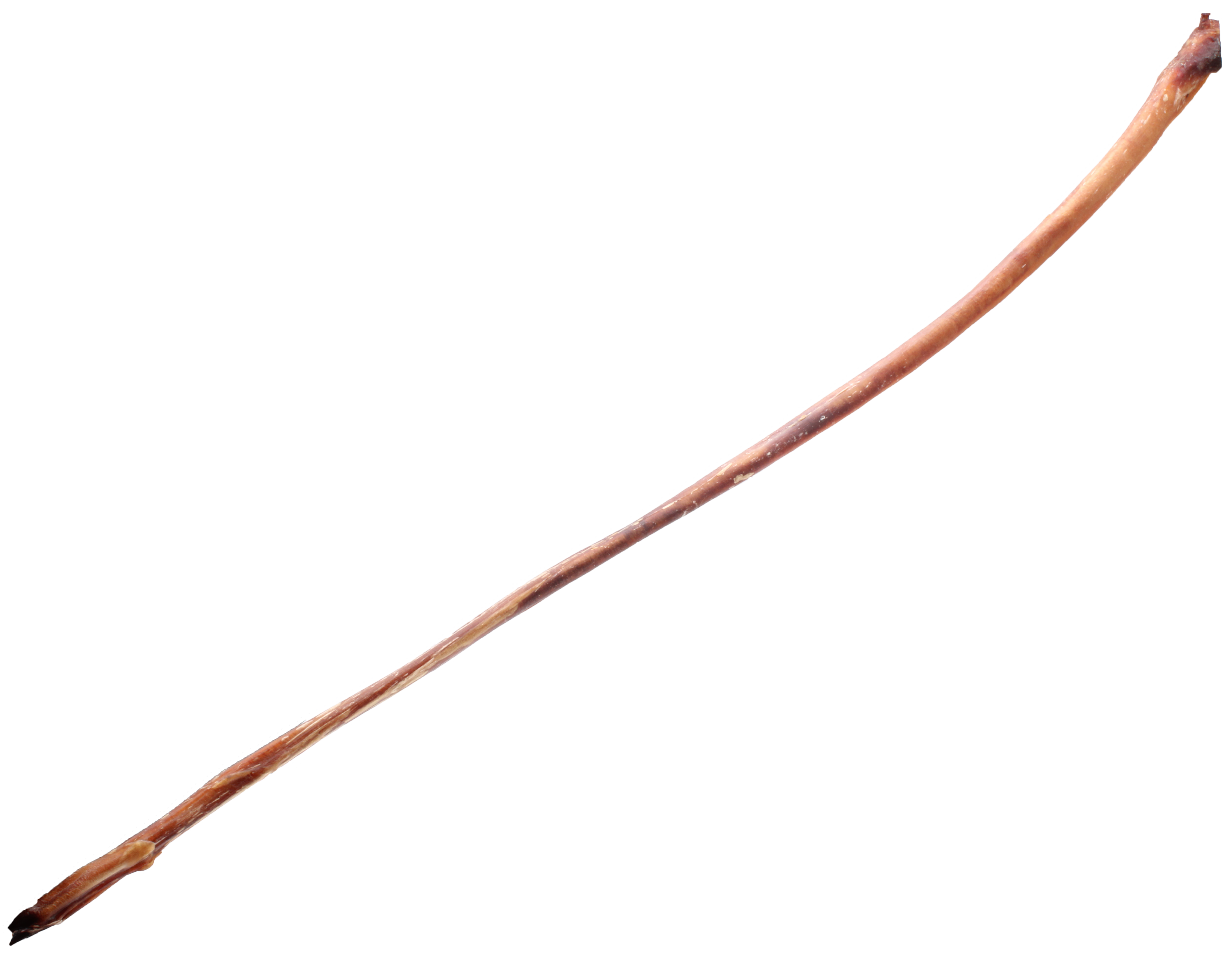 Langer, getrockneter Ochsenziemer mit leicht gebogener Form, faseriger Struktur und variierenden Braun- und Rottönen, auf weißem Hintergrund.