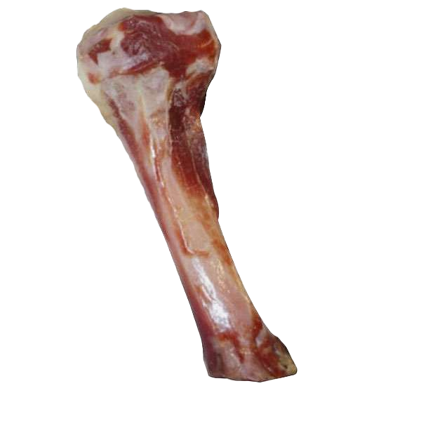 Ein roher Tierknochen mit Fleischresten ist abgebildet