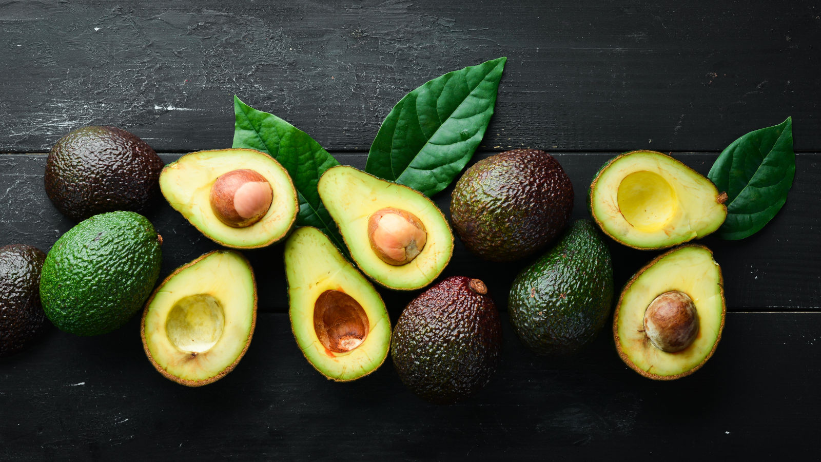 duerfen-hunde-avocado-essen duerfen-hunde-avocado-essen