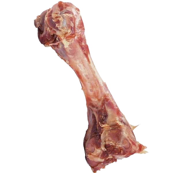 Ein roher Tierknochen mit Fleischresten ist abgebildet.