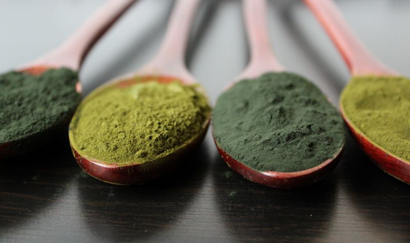 https://www.futter-fundgrube.de/media/b7/d3/6a/1714020980/Startseite-Chlorella-Pulver_800x800@2x.jpg?ts=1748793044