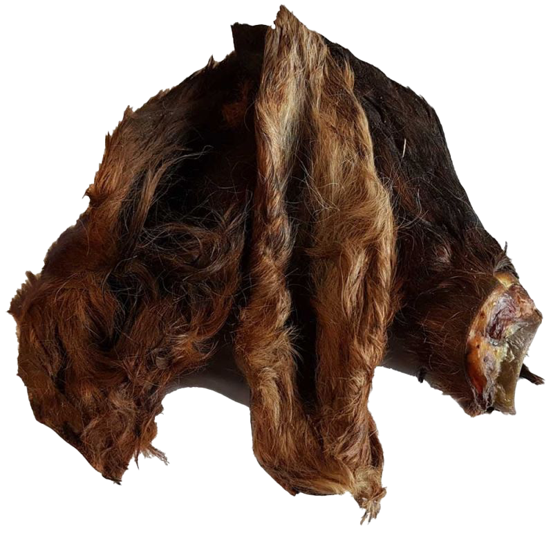 Zwei getrocknete Pferdeohren mit dichtem, langem Fell in dunklem Braun und rötlichem Beige, spitz zulaufend und an der Basis leicht gewölbt