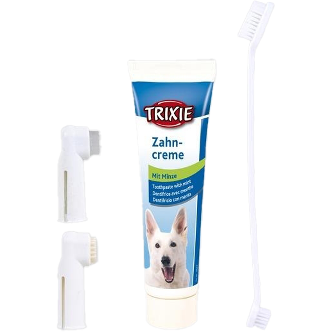 Weiße Tube mit blauem Etikett, daneben drei verschiedenfarbige Zahnbürsten mit unterschiedlich geformten Bürstenköpfen.