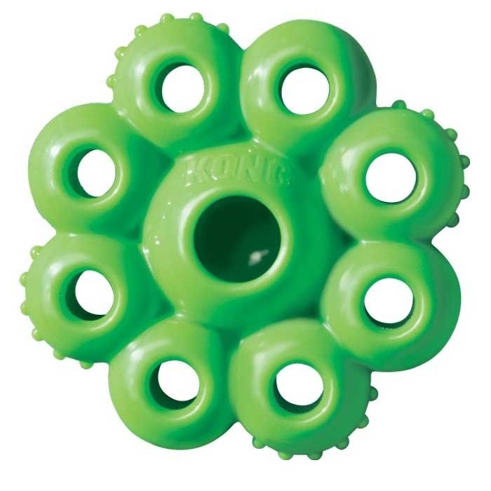 Kong Quest Starpod S